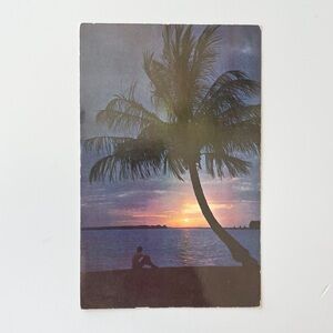 Vintage Postcard Florida Sunset Ocean Palm Tree End Of A Perfect Day